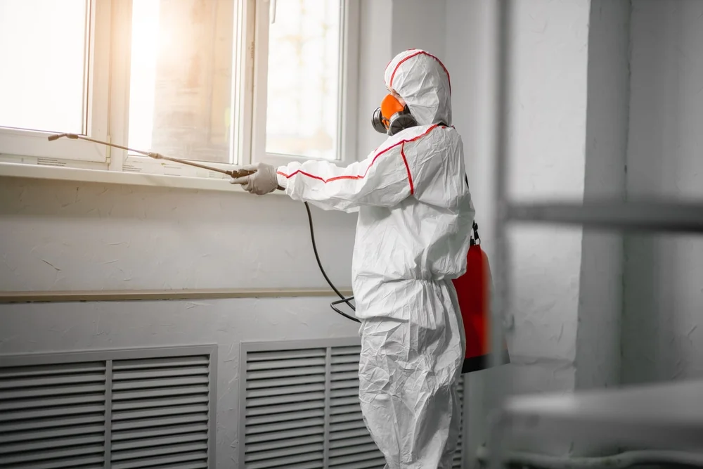 Professional mold remediation services in Machesney Park, IL